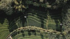 Sola Bestekset Bali - Modern - 9 Persoons - 90 Delig - Zilverwit Edelstaal 18/10 - RVS - Zilver -Beroemde Keukenserie Winkel 1200x675 11