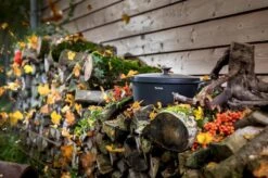 Tefal Trattoria Braadpan - Ø28 Cm - Inclusief Deksel -Beroemde Keukenserie Winkel 1200x799 22