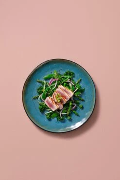 Palmer Serviesset Lotus Stoneware 6-persoons 24-delig Zwart Turquoise -Beroemde Keukenserie Winkel 801x1200 3